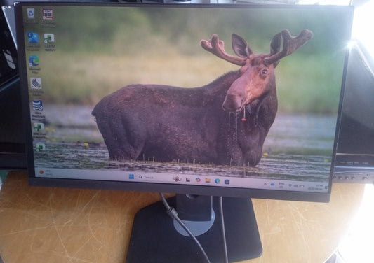Dell P2222H 22 Inch FHD IPS Monitor – HDMI, DisplayPort & VGA – No Power Cable – Used