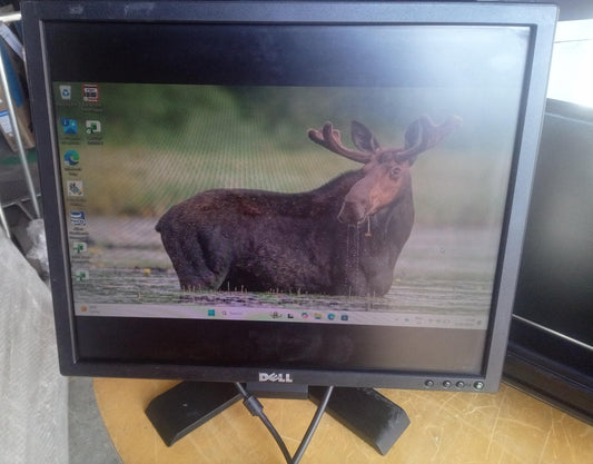 Dell E190S 19 Inch LCD Monitor – VGA – No Power Cable – Used