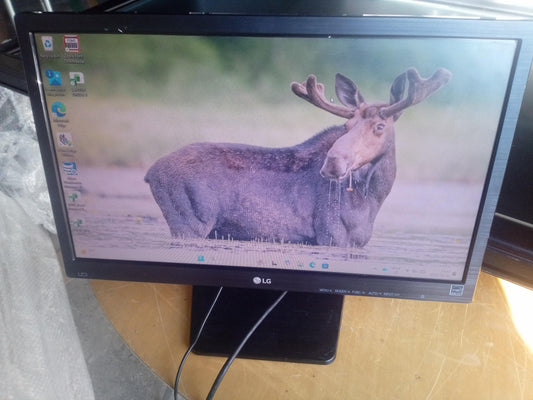 LG 19M37A 18.5 Inch LED Monitor With Adapter – VGA – Used