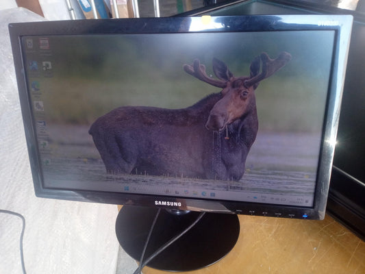 Samsung S19D300NY 18.5 Inch LED Monitor With Adapter – VGA – Used